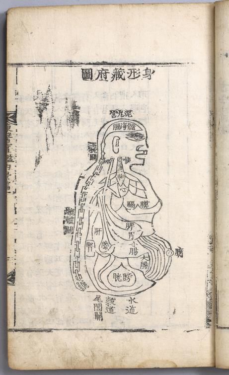 신형장부도(身形藏府圖)[허준박물관 제공. 재판매 및 DB 금지]