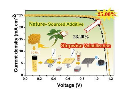 녹나무 유래 물질의 단계적 승화 특성을 활용해 페로브스카이트 태양전지의 효율과 수명을 향상.