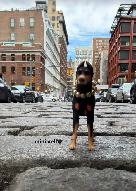 사진=배정남 SNS