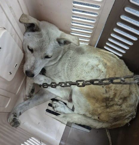 (출처= '유엄빠' 공식 인스타그램) *재판매 및 DB 금지