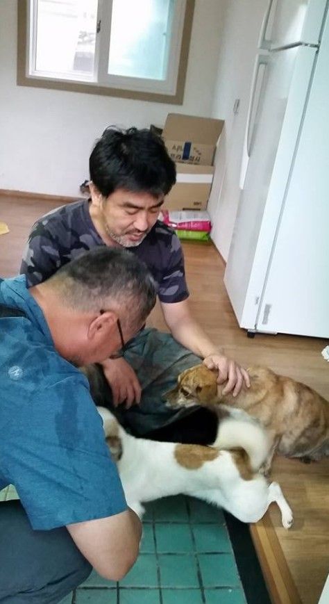 수항도에서 구출한 댕댕이들과 함께한 류승룡. 사진|강제윤SNS