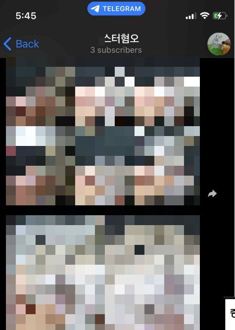 고등학생 B씨가 텔레그램에 올린 햄스터 학대 사진들./사진=독자 제공.