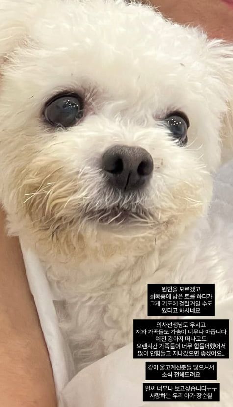 사진=미자 SNS 캡처