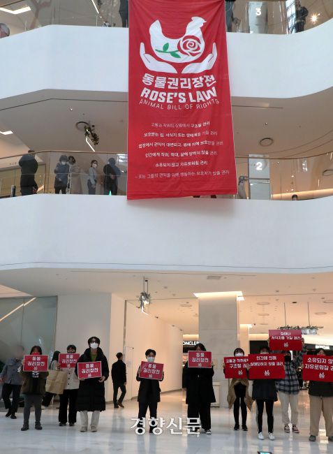 동물권단체 ‘DxE’ 활동가들이 2021년 12월 6일 서울 영등포 한 백화점에서 7M 길이의 동물권리장전 현수막 내리고 ‘방해시위’ 형식의 동물권 퍼포먼스를 하고 있다. 한수빈 기자