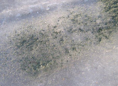 ‘에코트랙션’이 얼음을 녹이는 모습. 출처=www.ecotraction.com