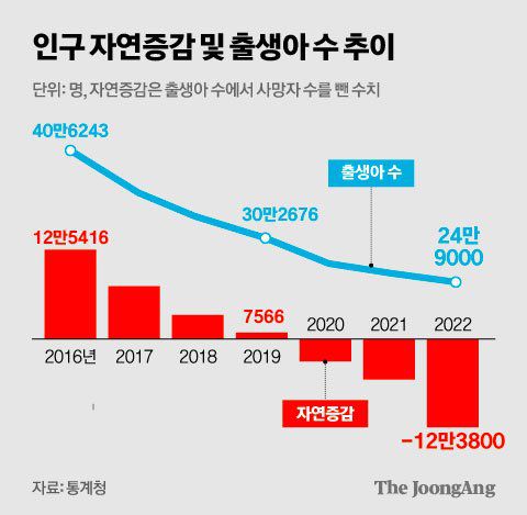김영희 디자이너