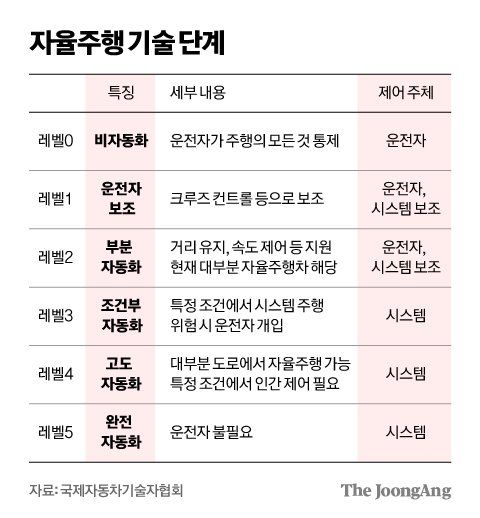 김영희 디자이너