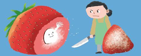 일러스트=김성규