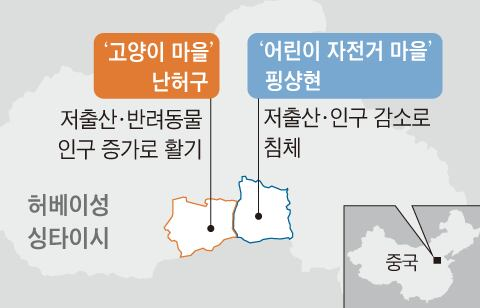 그래픽=백형선
