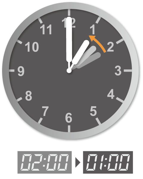 일러스트=양인성