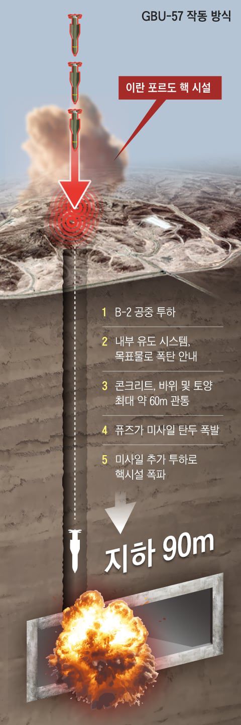 그래픽=김성규·양진경