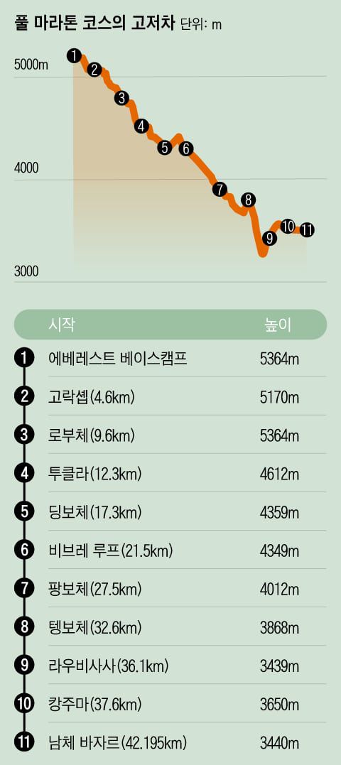 그래픽=조선디자인랩 이민경