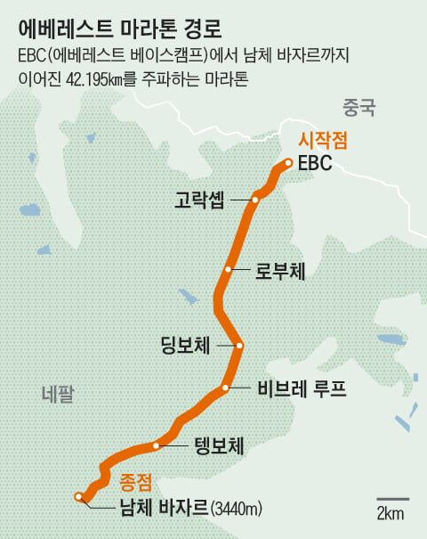 그래픽=조선디자인랩 이민경