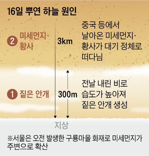 /그래픽=양진경