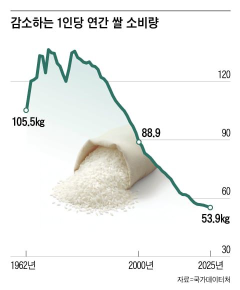 그래픽=조선디자인랩 오어진