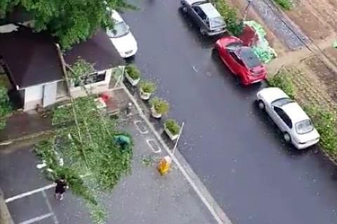 (고양=연합뉴스) 27일 오전 경기도 고양시 덕양구 주교동의 한 아파트단지 안에 있던 은행나무가 부러져 제거 중이다. 2020.8.27 [독자 제공. 재판매 및 DB 금지]