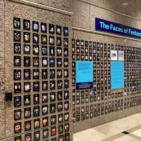 미국 버지니아주 마약단속국(DEA) 내에 펜타닐 중독으로 사망한 사람들의 사진이 전시돼 있다./DEA 홈페이지 캡처