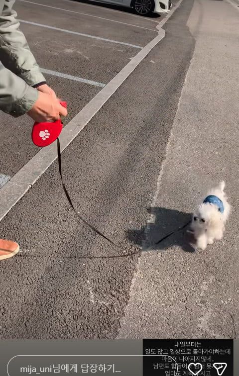 사진=미자 SNS