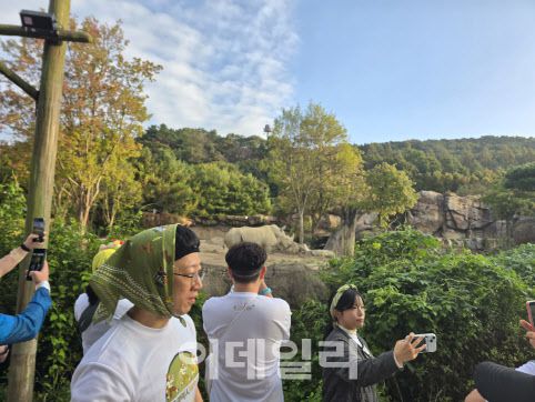 19일 경기 용인 에버랜드에서 열린 ‘갤럭시 워치런 @사파리’에서 참가자들이 코뿔소 앞에서 인증샷을 찍고 있다(사진=윤정훈 기자)