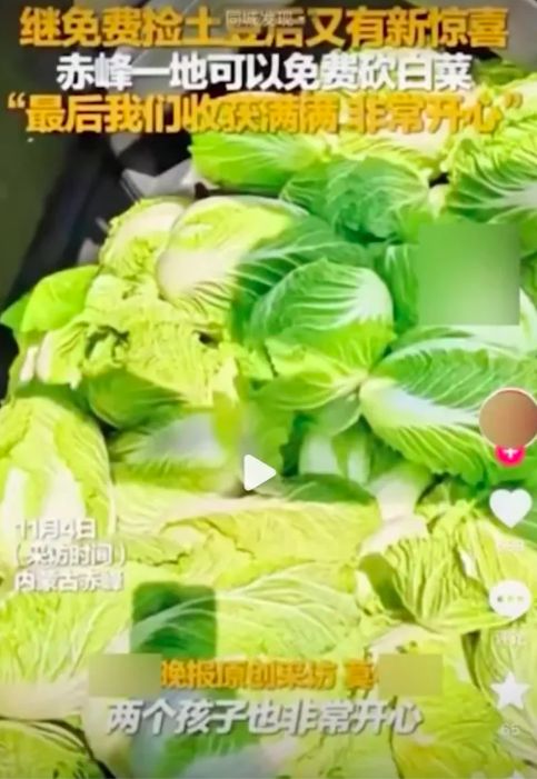 SNS에 올라온 '무료 배추 나눔' 영상. 웨이보 캡처