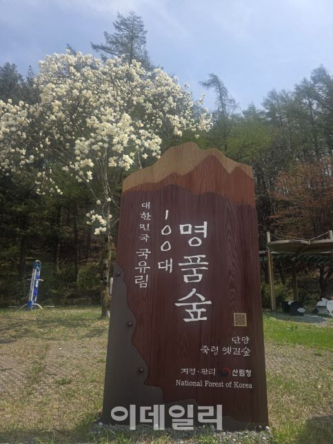 충북 단양군 대강면 용부원 2리에 있는 대한민국 100대 명품숲 표시목. (사진=박진환 기자)