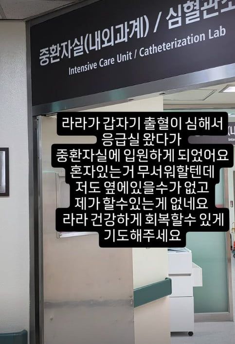 사진=손민수 SNS