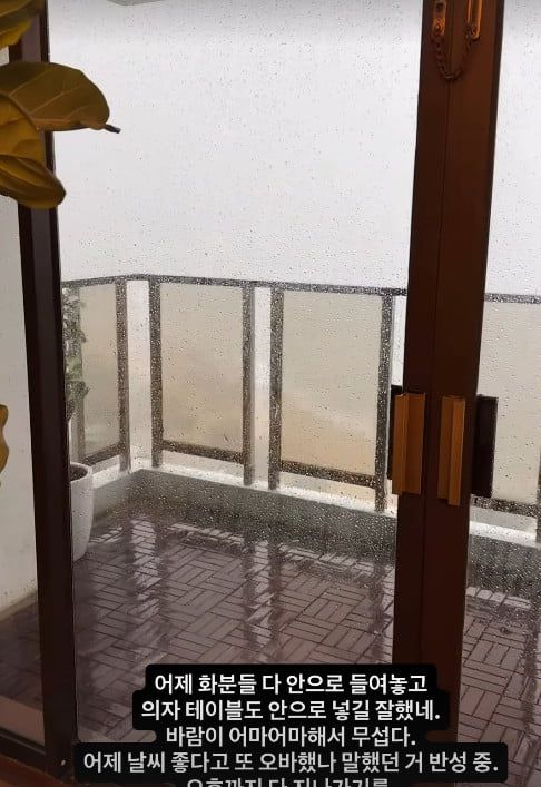 사진=강수정 SNS