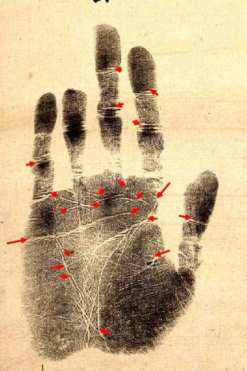 지문 감정서. 장탄일성 선조일본 속 손바닥 도장
