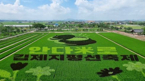 오는 10월 5일부터 9일까지 열리는 제25회 김제지평선축제를 앞두고 벽골제 인근 논에 유색벼를 활용한 축제홍보 그림이 그려져 있다. ‘안다미로’는 ‘그릇에 넘치도록 많이’라는 뜻의 순우리말이다. 김제시 제공