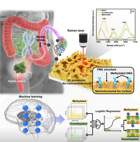 혈액 내 암 DNA 고감도 검출 및 AI 기반 분석 방법[재료연 제공. 재판매 및 DB 금지]