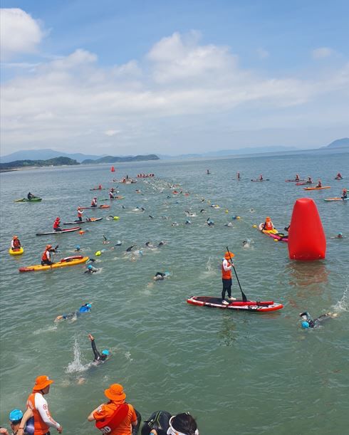 철인3종경기 수영.   /장흥군