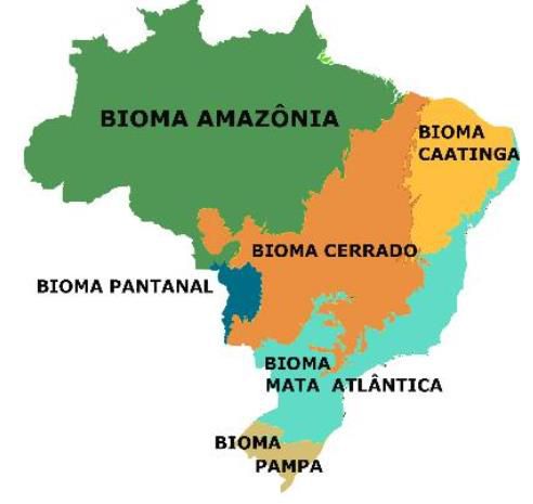 브라질의 6개 삼림 지역아마존 열대우림(Amazonia), 세하두(Cerrado), 판타나우(Pantanal), 카칭가(Caatinga), 팜파(Pampa), 마타 아틀란치카(Mata Atlantica) 등 6개로 나눠진 브라질의 삼림 지역 [브라질 국립통계원(IBGE)]