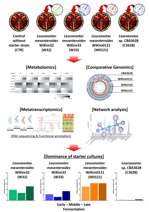멀티오믹스 기반 김치종균의 발효 우점 기전 분석체계.
