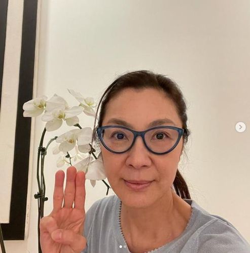 [홍콩 스타 미셸 여 인스타그램 캡처. 재판매 및 배포 금지]