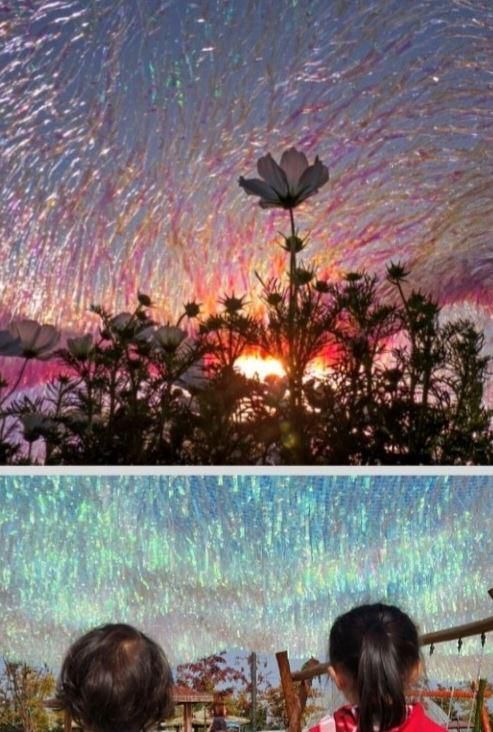 오로라 터널 모습 [사진=