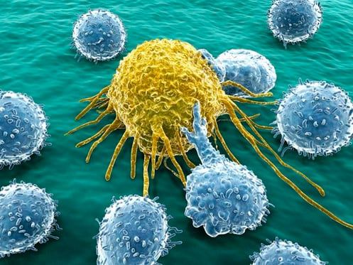 면역항암제는 사람 몸 속의 면역체계를 활용해 암을 치료하는 의약품으로, 특히 기존 치료법으로 실패한 전이 암과 재발 암에서 효과가 높아 1세대 화학항암제, 2세대 표적항암제에 이은 3세대 최신 치료 요법으로 주목받고 있다.