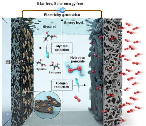 전기나 태양광에너지 없이 과산화수소와 글리세르산을 생산하는 시스템.