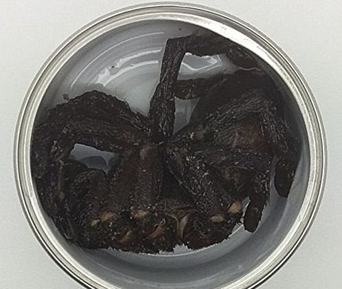 아마존에서 판매된 거미 통조림. 뉴시스(데일리메일 캡처)