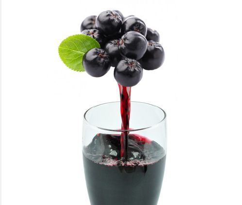 아로니아는 착즙해서 먹는 것이 좋다. 사진은 본 기사 내용과 무관. [사진= Ariso]