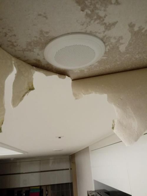 누수로 천정이 새는 모습 [사진 연합뉴스]
