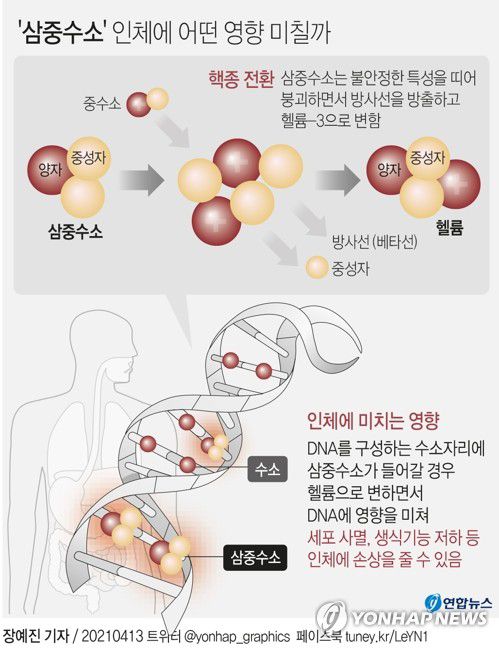 [그래픽] '삼중수소' 인체에 어떤 영향 미칠까(서울=연합뉴스) 장예진 기자 = 13일 일본 정부가 후쿠시마 제1원전 내 방사성 물질 오염수를 해양 방류하기로 결정하면서 오염수에 포함된 물질 '삼중수소'(트리튬)에 관심이 쏠리고 있다.
    jin34@yna.co.kr
    트위터 @yonhap_graphics  페이스북 tuney.kr/LeYN1