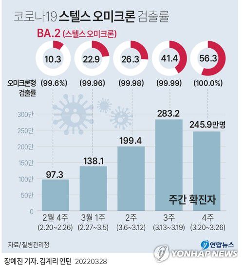 [그래픽] 코로나19 스텔스 오미크론 검출률(서울=연합뉴스) 장예진 기자 = 정부가 28일 코로나19 오미크론 변이 유행이 국내에서 11주 만에 감소세로 전환했다고 공식적으로 밝혔다. 이날 신규 확진자가 18만7천명으로 집계되는 등 전주 대비 감소세를 보이고 있지만, 전파력이 더 강한 '스텔스 오미크론'이 국내에서도 우세종이 되고, 신규 확진자 5명 중 1명이 고령층으로 확인되는 등 위험요인은 여전한 상황이다.      jin34@yna.co.kr     트위터 @yonhap_graphics  페이스북 tuney.kr/LeYN1