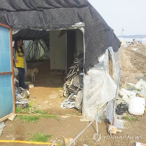 농축산업 이주노동자 숙소[연합뉴스 자료사진]