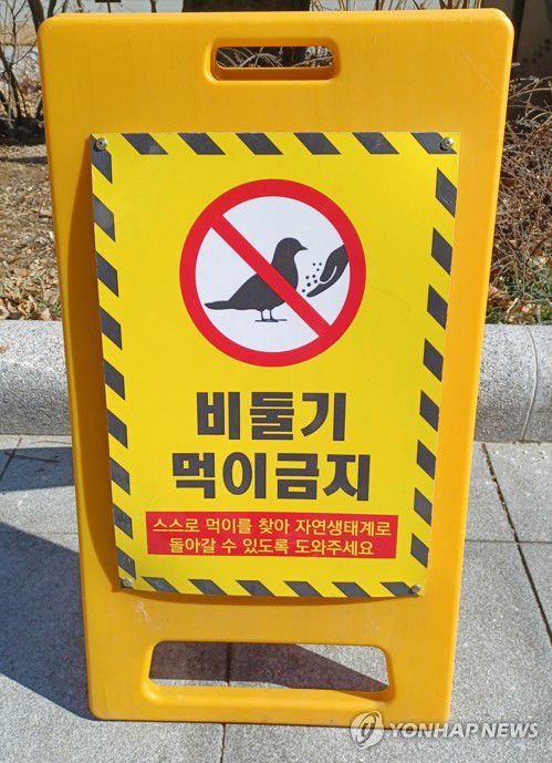 비둘기 먹이 금지[촬영 안 철 수] 2025.2.18