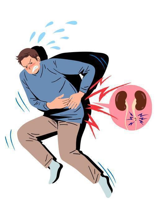 올바른 조리법·균형 잡힌 식단·충분한 수분 섭취를 병행하면 몸속 환경을 안정적으로 유지할 수 있다. 게티이미지