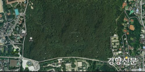 ‘네이버 지도’의 위성 지도 기능에선 청와대 위치가 나무로 뒤덮여진 채 가려져 있다. 네이버 지도