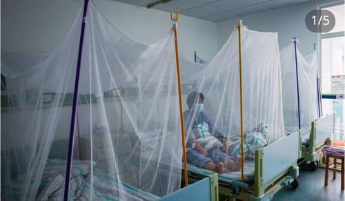 치쿤구니야열 환자들이 머무는 병상에 모기장이 설치돼 있다. 샤오훙슈