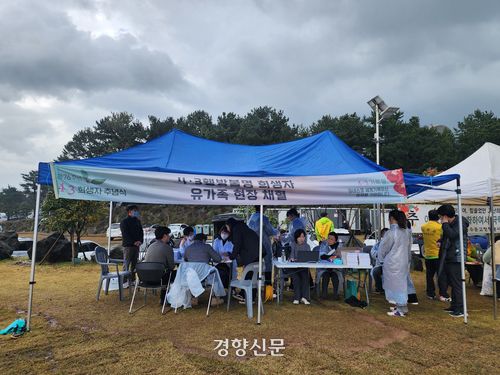 4·3 당시 학살돼 암매장된 유해의 신원 확인을 위해 유가족의 채혈을 받고 있다. 박미라 기자