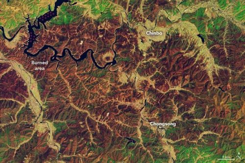 NASA 위성이 촬영한 경상북도 산불 확대 사진. NASA Earth Observatory