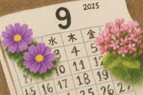 일러스트 고재하